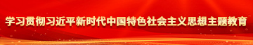 大鸡巴操粉逼学习贯彻习近平新时代中国特色社会主义思想主题教育